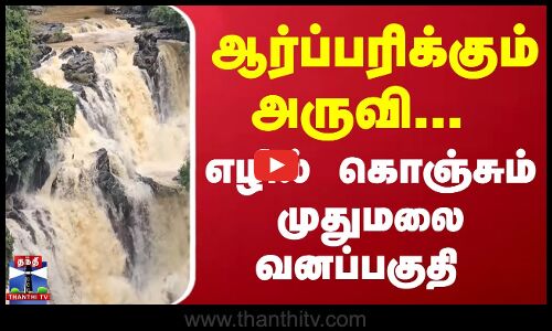 ஆர்ப்பரிக்கும் அருவி... எழில் கொஞ்சும் முதுமலை வனப்பகுதி  அற்புதமான காட்சிகள்