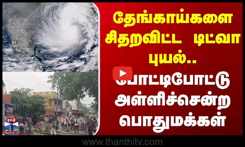 Cyclone Ditwah  |  Heavy Rain |   தேங்காய்களை சிதறவிட்ட டிட்வா புயல் ..
