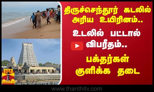 திருச்செந்தூர் கடலில் அரிய உயிரினம்.. உடலில் பட்டால் விபரீதம்.. பக்தர்கள் குளிக்க தடை