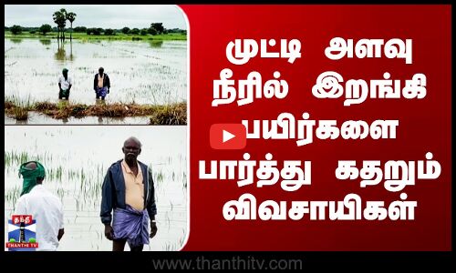 cuddalore| முட்டி அளவு நீரில் இறங்கி பயிர்களை பார்த்து கதறும் விவசாயிகள்