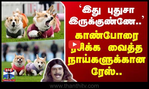 `இது புதுசா இருக்குண்ணே.. - காண்போரை ரசிக்க வைத்த நாய்களுக்கான ரேஸ்..!