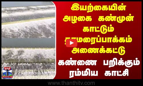 Thiruvallur | Dam | இயற்கையின் அழகை கண்முன் காட்டும் தாமரைப்பாக்கம் அணைக்கட்டு - ரம்மிய காட்சி
