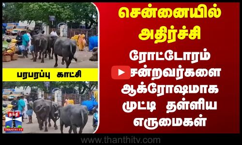 ரோட்டோரம் சென்றவர்களை முட்டி தள்ளிய எருமைகள்... பரபரப்பு காட்சி