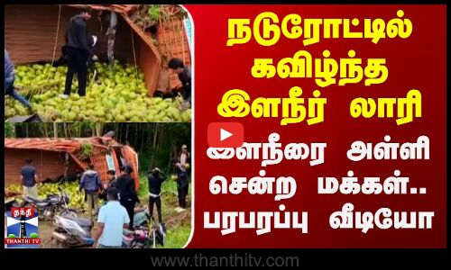 நடுரோட்டில் கவிழ்ந்த இளநீர் லாரி - இளநீரை அள்ளி சென்ற மக்கள்.. பரபரப்பு வீடியோ