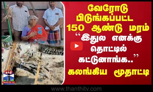 வேரோடு பிடுங்கப்பட்ட 150 ஆண்டு மரம் ``இதுல எனக்கு தொட்டில் கட்டுனாங்க..`` -  கலங்கி பேசிய மூதாட்டி