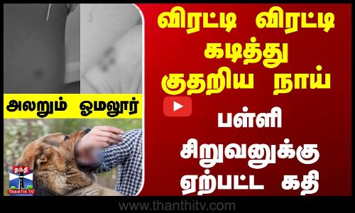 விரட்டி விரட்டி கடித்து குதறிய நாய்... பள்ளி சிறுவனுக்கு ஏற்பட்ட கதி... அலறும் ஓமலூர்