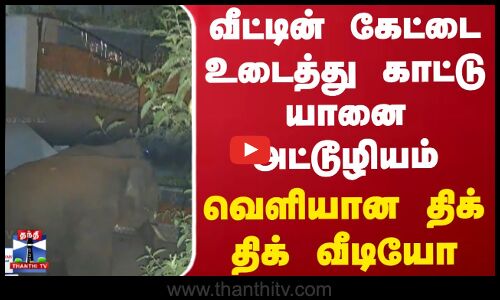 வீட்டின் கேட்டை உடைத்து காட்டு யானை அட்டூழியம்... வெளியான திக் திக் வீடியோ | Elephant Video