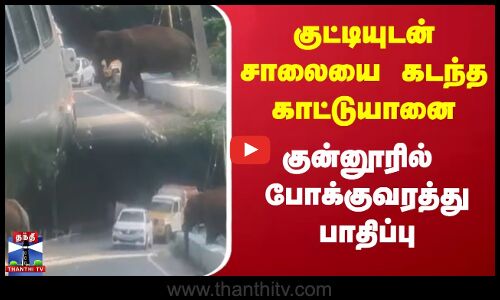 குட்டியுடன் சாலையை கடந்த காட்டு யானைகள் - போக்குவரத்து பாதிப்பு