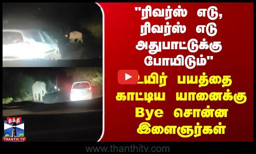reverse எடு,reverse எடுஅதுபாட்டுக்கு போயிடும் உயிர் பயத்தை காட்டிய யானைக்கு bye... சொன்ன இளைஞர்கள்