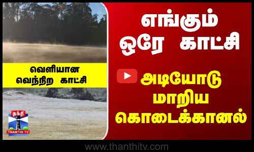 Kodaikanal | Snow | எங்கும் ஒரே காட்சி.. அடியோடு மாறிய கொடைக்கானல் - வெளியான வெந்நிற காட்சி