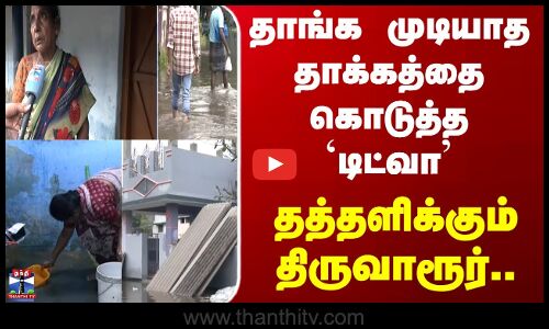 Ditwah Cyclone | தாங்க முடியாத தாக்கத்தை கொடுத்த டிட்வா.. தத்தளிக்கும் திருவாரூர்..