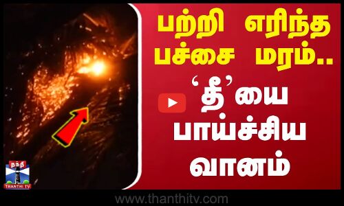 பற்றி எரிந்த பச்சை மரம்.. தீயை பாய்ச்சிய வானம்