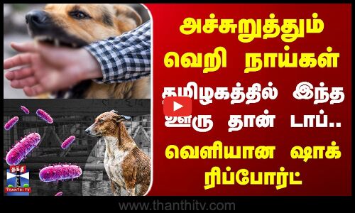 அச்சுறுத்தும் வெறி நாய்கள் | தமிழகத்தில் இந்த ஊரு தான் டாப்.. | Shocking Report