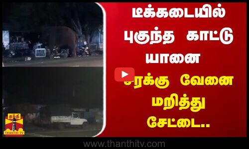 டீக்கடையில் புகுந்த காட்டு யானை.சரக்கு வேனை மறித்து சேட்டை. யானையின் நடமாட்டத்தால் பொதுமக்கள் அச்சம்