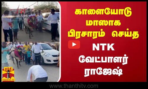 காளையோடு மாசாக பிரசாரம் செய்த - NTK வேட்பாளர் ராஜேஷ்