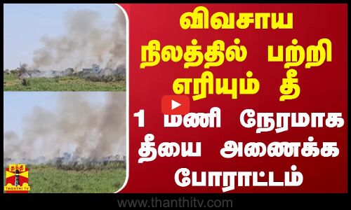 விவசாய நிலத்தில் பற்றி எரியும் தீ.. 1 மணி நேரமாக தீயை அணைக்க போராட்டம் | Madurai