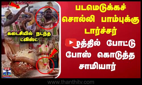 படமெடுக்கச் சொல்லி பாம்புக்கு டார்ச்சர்.. கழுத்தில் போட்டு போஸ் கொடுத்த சாமியார்