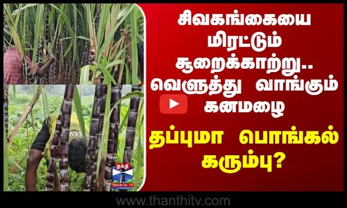 Cycloneditwah | சிவகங்கையை மிரட்டும் சூறைக்காற்று..வெளுத்து வாங்கும் கனமழை, தப்புமா பொங்கல் கரும்பு?