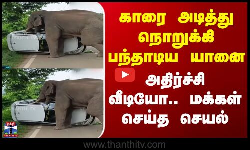 காரை அடித்து நொறுக்கி பந்தாடிய யானை - அதிர்ச்சி வீடியோ.. மக்கள் செய்த செயல்