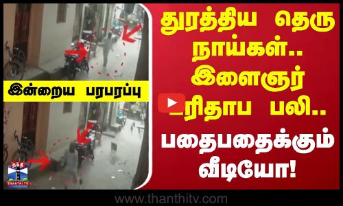 Indraiya Paraparappu | துரத்திய தெரு நாய்கள்.. இளைஞர் பரிதாப பலி.. பதைபதைக்கும் வீடியோ