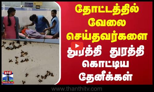 தோட்டத்தில் வேலை செய்தவர்களை துரத்தி துரத்தி கொட்டிய தேனீக்கள்