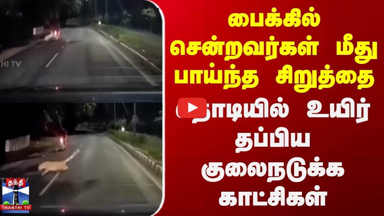 பைக்கில் சென்றவர்கள் மீது பாய்ந்த சிறுத்தை - குலைநடுக்க காட்சிகள்