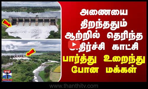 Hosur | அணையை திறந்ததும் ஆற்றில் தெரிந்த அதிர்ச்சி காட்சி... பார்த்து உறைந்து போன மக்கள்