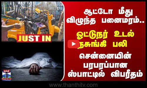 Accident | ஆட்டோ மீது விழுந்த பனைமரம் - ஓட்டுநர் உயிரிழப்பு