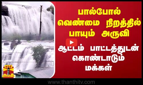 பால்போல் வெண்மை நிறத்தில் பாயும் அருவி.. ஆட்டம் பாட்டத்துடன்  கொண்டாடும் மக்கள்