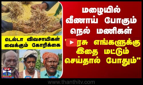 Street Interview | மழையில் வீணாய் போகும் நெல் மணிகள்.. அரசு எங்களுக்கு இதை மட்டும் செய்தால் போதும்