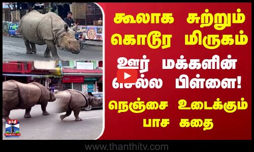 கூலாக சுற்றும் கொடூர மிருகம் ஊர் மக்களின் செல்ல பிள்ளை! நெஞ்சை உடைக்கும் பாச கதை