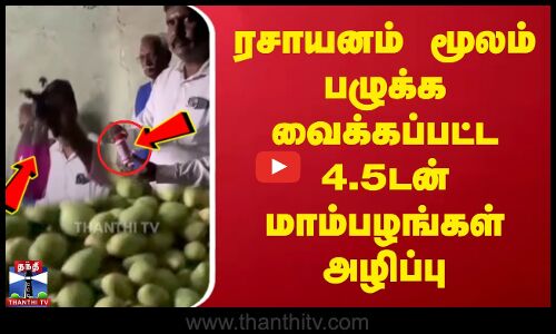 ரசாயனம் மூலம் பழுக்க வைக்கப்பட்ட 4.5 டன் மாம்பழங்கள் அழிப்பு
