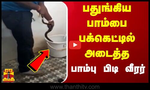 பதுங்கிய பாம்பை பக்கெட்டில் அடைத்த பாம்பு பிடி வீரர்.. | Erode | Snake