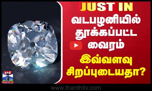 வடபழனியில் தூக்கப்பட்ட வைரம் - இவ்வளவு சிறப்புடையதா?