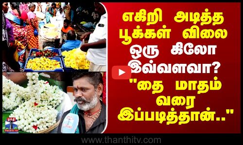 Madurai | எகிறி அடித்த பூக்கள் விலை.. ஒரு கிலோ இவ்வளவா? தை மாதம் வரை இப்படித்தான்..