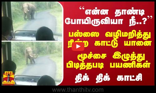 பஸ்ஸை வழிமறித்து நின்ற காட்டு யானை... மூச்சை இழுத்து பிடித்தபடி பயணிகள் - திக் திக் காட்சி