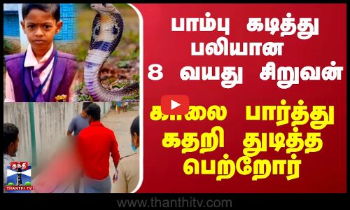 பாம்பு கடித்து பலியான 8 வயது சிறுவன்.. காலை பார்த்து கதறி துடித்த பெற்றோர்