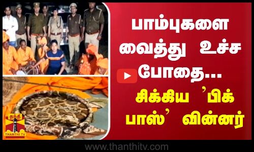 பாம்புகளை வைத்து உச்ச போதை... சிக்கிய ’பிக் பாஸ்’ வின்னர்