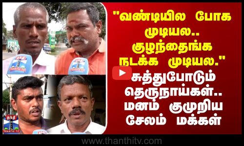 Street Interview | வண்டியில போக முடியல.. சுத்துபோடும் தெருநாய்கள்.. மனம் குமுறிய சேலம் மக்கள்
