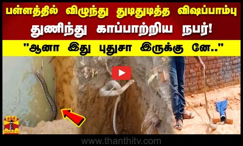 பள்ளத்தில் விழுந்து துடிதுடித்த விஷப்பாம்பு துணிந்து காப்பாற்றிய நபர்!ஆனா இது புதுசா இருக்கு னே..