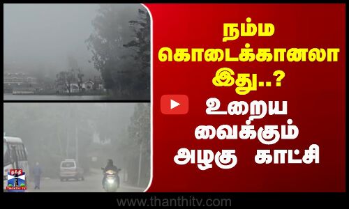 நம்ம கொடைக்கானலா இது..? - உறைய வைக்கும் அழகு காட்சி