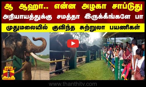 ஆ ஆஹா.என்ன அழகா சாப்டுது..அநியாயத்துக்கு சமத்தா இருக்கீங்களே பா.முதுமலையில் குவிந்த சுற்றுலா பயணிகள்