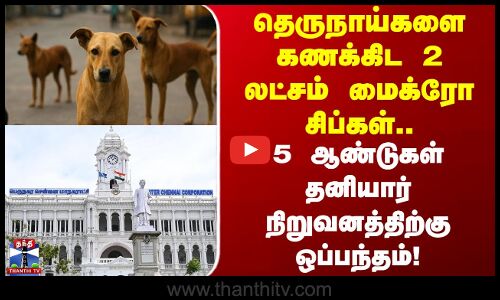 Chennai | தெருநாய்களை கணக்கிட 2 லட்சம் மைக்ரோ சிப்கள்.. 5 ஆண்டுகள் தனியார் நிறுவனத்திற்கு ஒப்பந்தம்