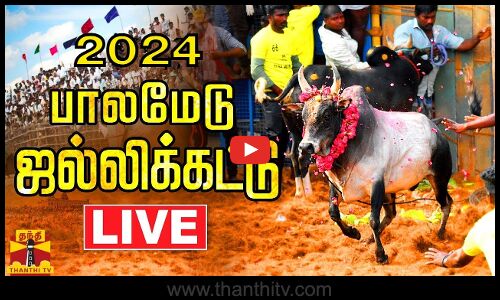 🔴LIVE : அனல் பறக்கும் பாலமேடு ஜல்லிக்கட்டு 2024 | Visuals of Palamedu Jallikattu 2024 | Thanthi TV