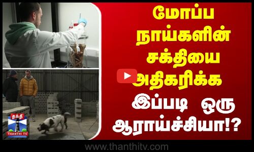 மோப்ப நாய்களின் சக்தியை அதிகரிக்க இப்படி ஒரு ஆராய்ச்சியா!?