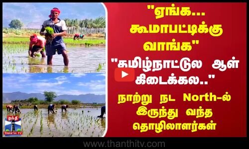 தமிழ்நாட்டுல ஆள் கிடைக்கல.. நாற்று நட North-ல் இருந்து வந்த தொழிலாளர்கள்
