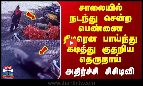 Maharashtra Dog Bite | சாலையில் நடந்து சென்ற பெண்ணை திடீரென பாய்ந்து கடித்து குதறிய தெருநாய்