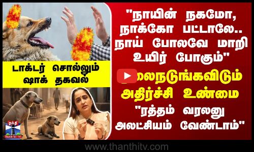 Rabies நாயின் நாக்கோ, நகமோ பட்டாலே நாய் போல் மாறி உயிர் போகும் - குலைநடுங்கவிடும் அதிர்ச்சி உண்மை
