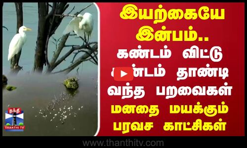 Foreign birds | Vellode Bird Sanctuary | Erode | கண்டம் விட்டு கண்டம் தாண்டி வந்த பறவைகள்