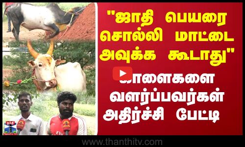 ஜாதி பெயரை சொல்லி மாட்டை அவுக்க கூடாது.. காளைகளை வளர்ப்பவர்கள் அதிர்ச்சி பேட்டி ...